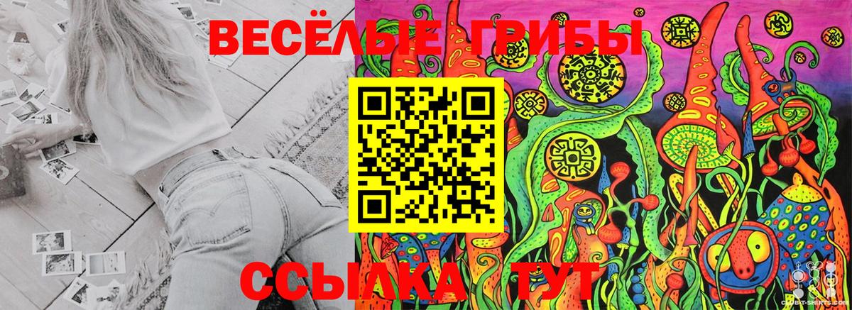 Псилоцибиновые грибы Cubensis Брянск