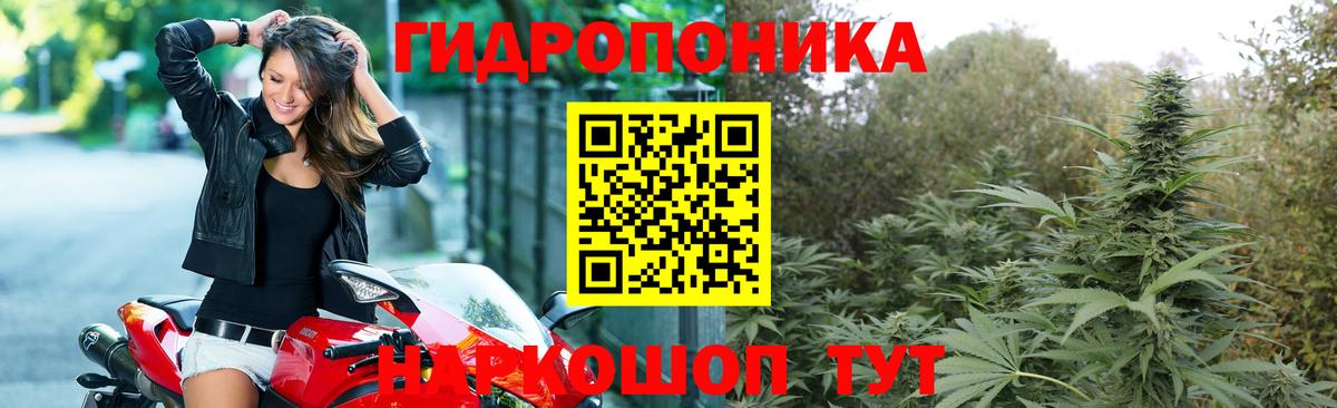 Канабис VHQ  Марихуана тримм  Шишки марихуана тримм  Брянск  Вход с VPN 